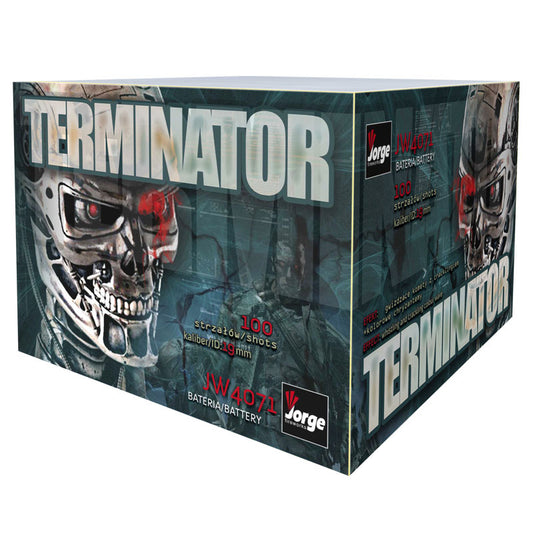 Baterie de artificii 100 focuri 20 mm Fireshow Terminator Gh20-100-2